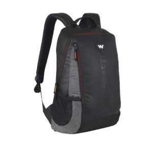 Streak 2.0 Plus Laptop Backpack BLACK