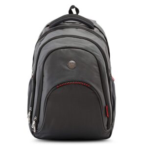 Harissons Capri Grey Laptop Backpack
